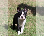 Image preview for Ad Listing. Nickname: Elliot