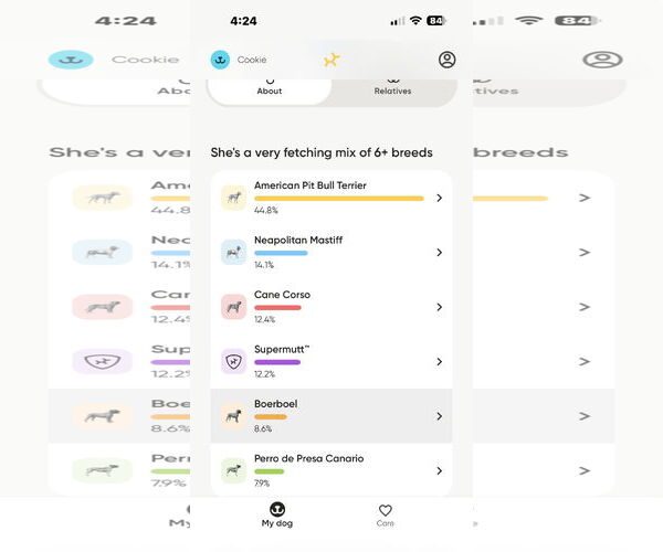 Medium Photo #19 American Bandogge mastiff Puppy For Sale in Spotsylvania, VA, USA