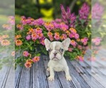 Image preview for Ad Listing. Nickname: Missy