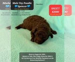Image preview for Ad Listing. Nickname: Spencer