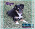 Image preview for Ad Listing. Nickname: Skye