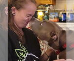 Small #9 American Pit Bull Terrier Mix