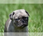 Image preview for Ad Listing. Nickname: Bumble