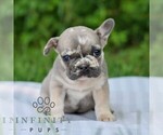 Image preview for Ad Listing. Nickname: Kara