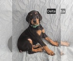 Image preview for Ad Listing. Nickname: Delta