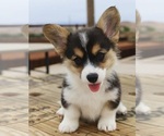 Image preview for Ad Listing. Nickname: Lienie