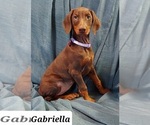 Image preview for Ad Listing. Nickname: Gabriella