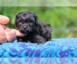 Image preview for Ad Listing. Nickname: Caleb