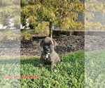 Image preview for Ad Listing. Nickname: Female 1