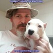 Small Photo #116 Dogo Argentino Puppy For Sale in PINEVILLE, MO, USA