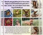 Small #1 Breeder Profile image