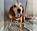 Small #3 Breeder Profile image