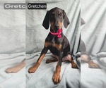 Image preview for Ad Listing. Nickname: Gretchen
