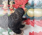  - Photo #5