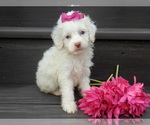 Image preview for Ad Listing. Nickname: Angel