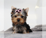 Image preview for Ad Listing. Nickname: Mille