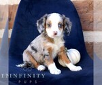 Image preview for Ad Listing. Nickname: Lucy