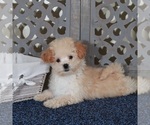 Image preview for Ad Listing. Nickname: Angel