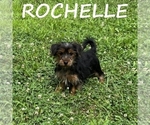 Image preview for Ad Listing. Nickname: Rochelle