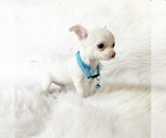 Image preview for Ad Listing. Nickname: Sammie