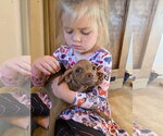 Small #2 Mutt