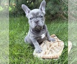 Image preview for Ad Listing. Nickname: Cici