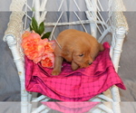  - Photo #2