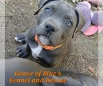 Image preview for Ad Listing. Nickname: Orange Male