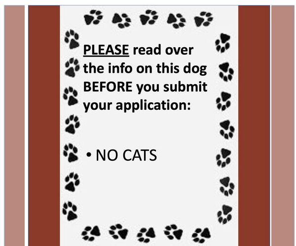 Medium Photo #4 Siberian Husky-Unknown Mix Puppy For Sale in Fargo, ND, USA