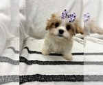 Image preview for Ad Listing. Nickname: Missy