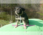 Image preview for Ad Listing. Nickname: Warm Ocean