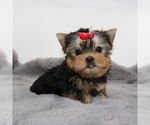 Image preview for Ad Listing. Nickname: Tiny Sunny