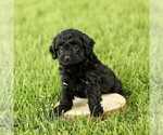 Image preview for Ad Listing. Nickname: Madelyn