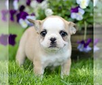 Image preview for Ad Listing. Nickname: Raine