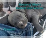 Image preview for Ad Listing. Nickname: Teal Female