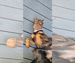 Image preview for Ad Listing. Nickname: Mercy