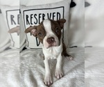 Image preview for Ad Listing. Nickname: Bonnie