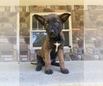Image preview for Ad Listing. Nickname: Kacey