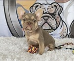 Image preview for Ad Listing. Nickname: BELLA ISABELLA