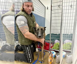 Oakley (Fostered in Michigan) - Female Mutt Dog for Adoption - Photo #5