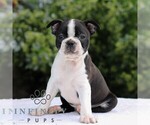 Image preview for Ad Listing. Nickname: Ben