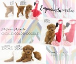Small Photo #3 Goldendoodle Puppy For Sale in SPRING BRANCH, TX, USA