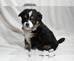 Image preview for Ad Listing. Nickname: Maggie