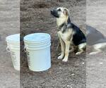 Small #2 Breeder Profile image