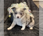 Image preview for Ad Listing. Nickname: Sky