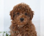 Image preview for Ad Listing. Nickname: Hoover