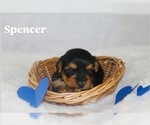 Image preview for Ad Listing. Nickname: Spencer