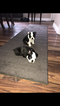 Small Photo #1 Boston Terrier Puppy For Sale in COLUMBIAVILLE, MI, USA