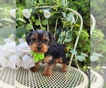 Image preview for Ad Listing. Nickname: Bastian