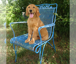 Image preview for Ad Listing. Nickname: Elara